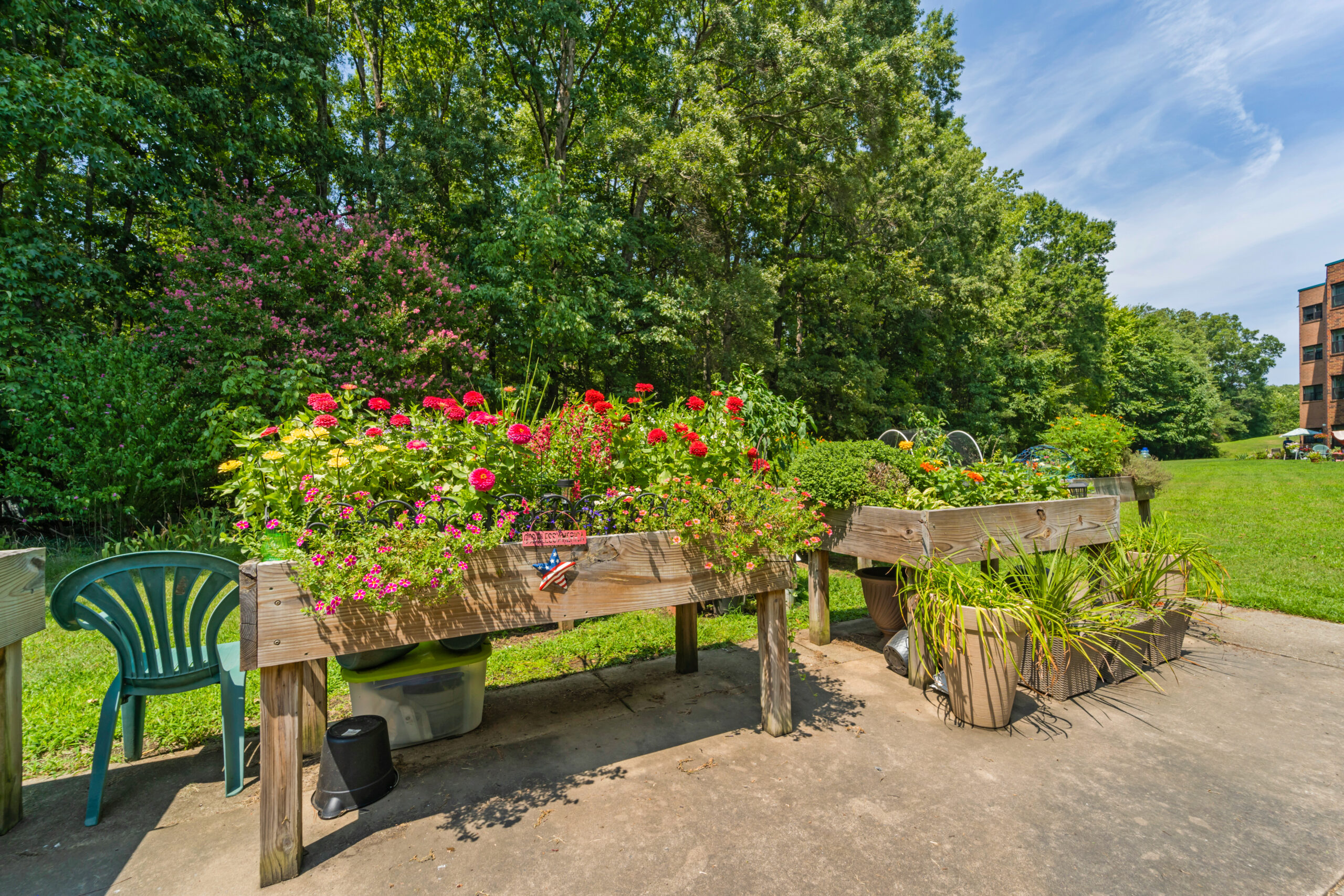 Maple Woods Garden